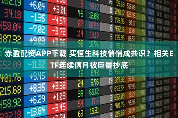 赤盈配资APP下载 买恒生科技悄悄成共识？相关ETF连续俩月被巨量抄底